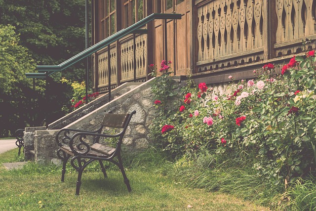 域的对峙 域的对峙