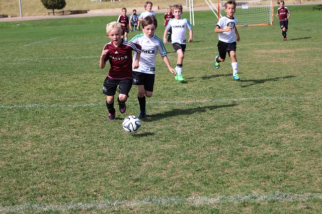 的重要动力 的重要动力