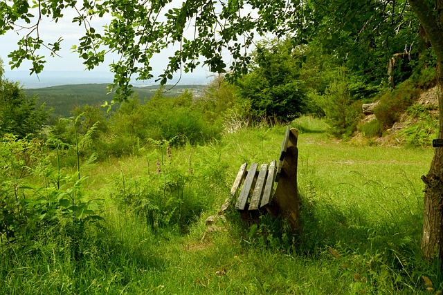 经历的心理 经历的心理