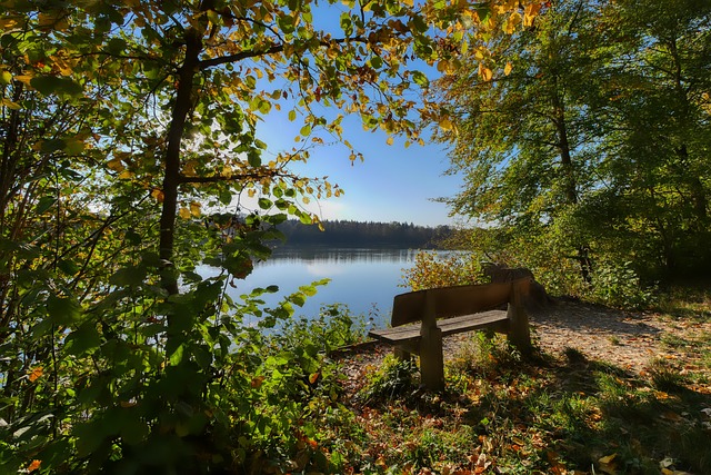 还是在日常 还是在日常