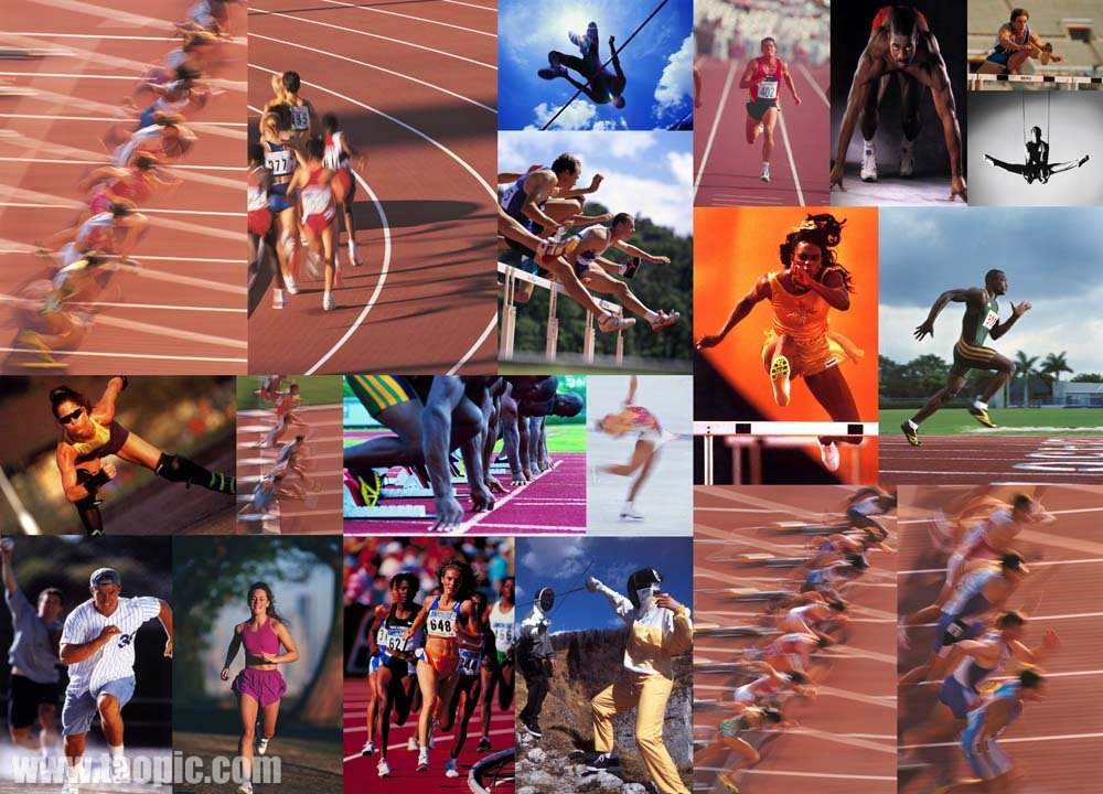 主力球员的 主力球员的