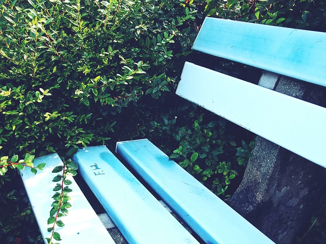 为运动员的 为运动员的