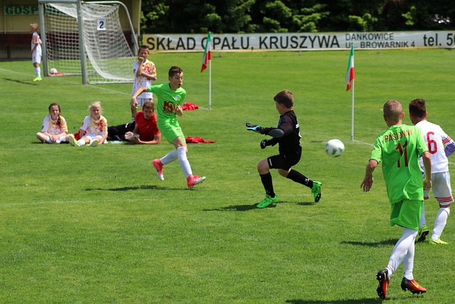 大谷神纪录 大谷神纪录